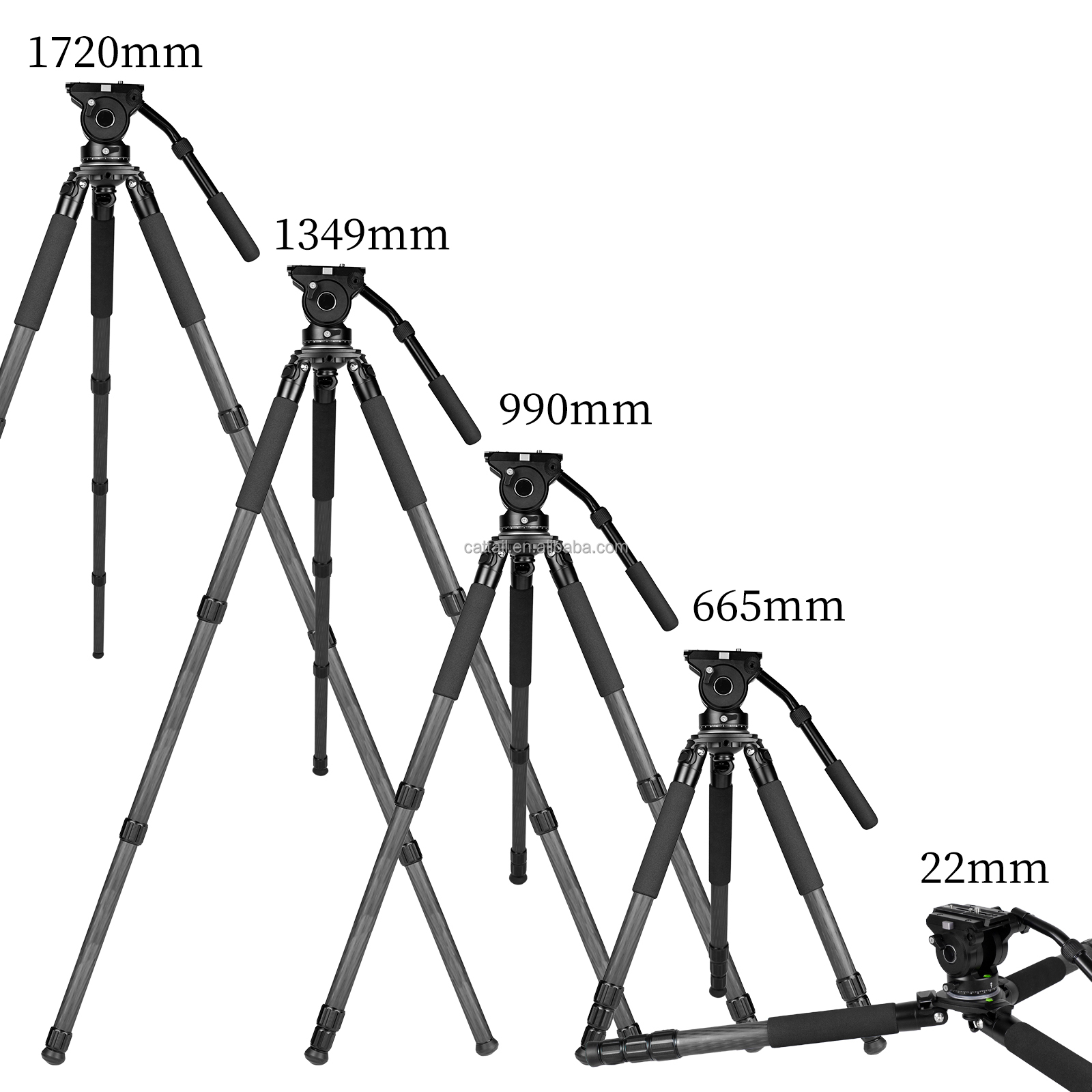 CatTail CT-3 プロフェッショナル 40MM カー - Outdoor Hunting Photography のレビューと価格