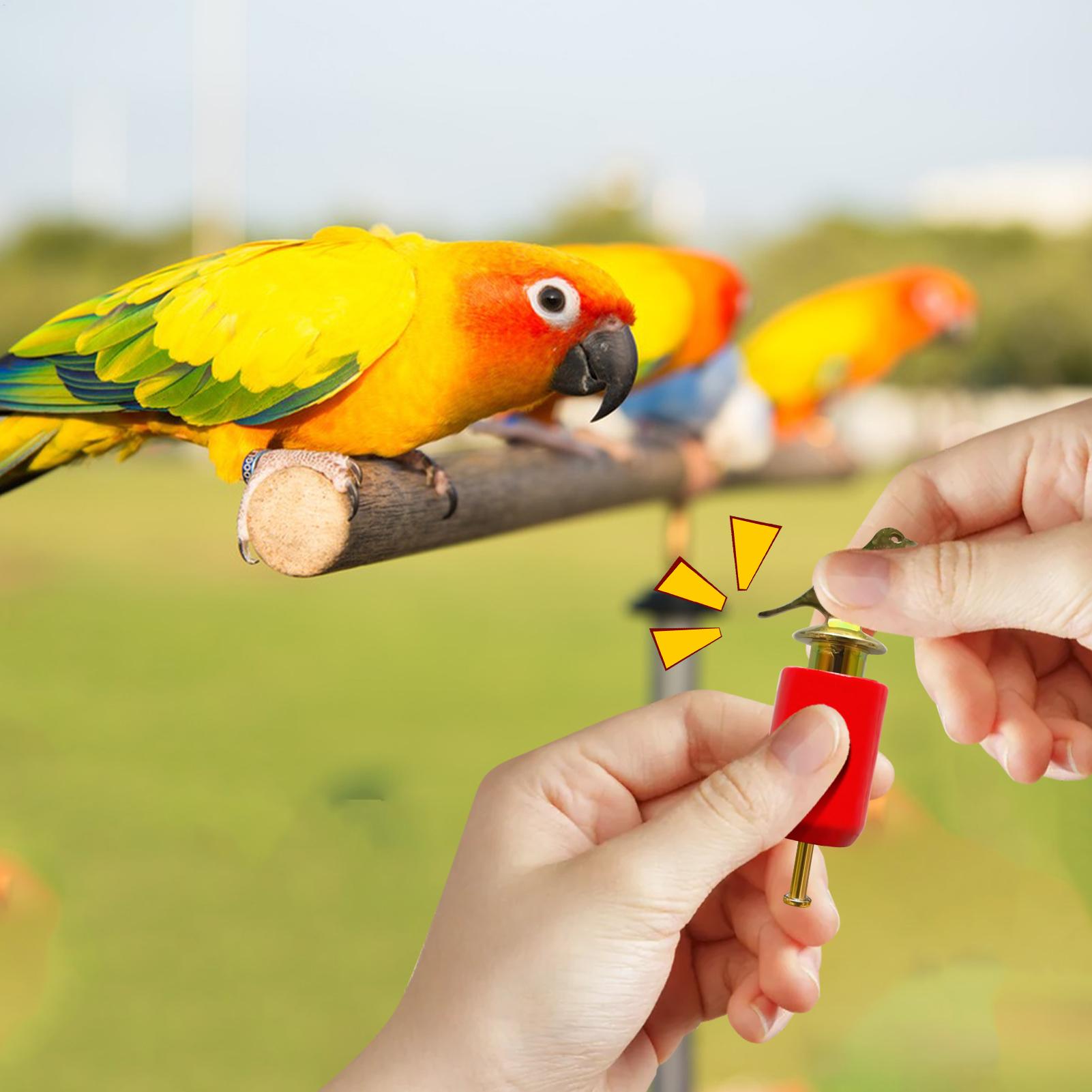 鳥の鳴き声ホイッスル リアルなホーン インタラクション トレ - Game Call Whistle のレビューと価格